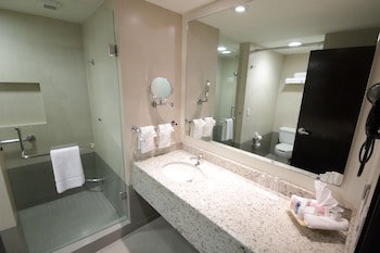 Crowne Plaza Leon, An Ihg Hotel