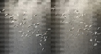 Tomtom Suites - Special Class