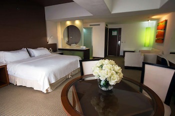 Bel Air Business Salamanca, Trademark By Wyndham