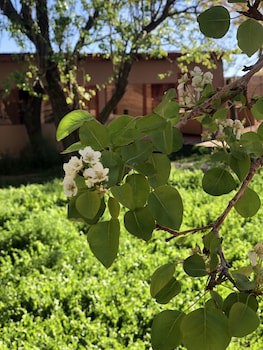 Sami Atacama Lodge