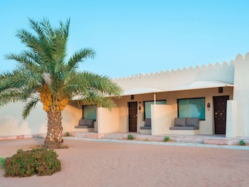 Desert Nights Camp