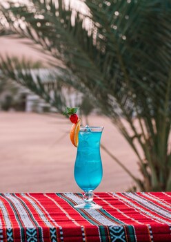 Desert Nights Camp