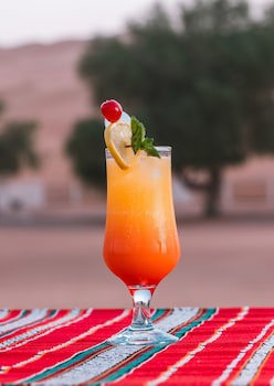 Desert Nights Camp