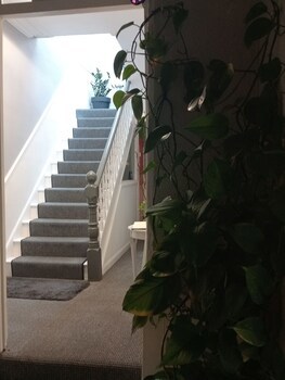 Ambassador Guest House