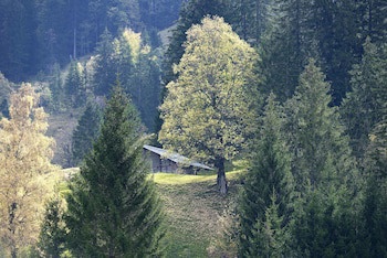 Aspen Alpin Lifestyle Hotel Grindelwald