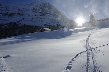 Aspen Alpin Lifestyle Hotel Grindelwald