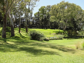 Hotel Del Bosque