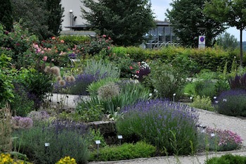 Hotel Am Klostergarten galeri fotoğrafı