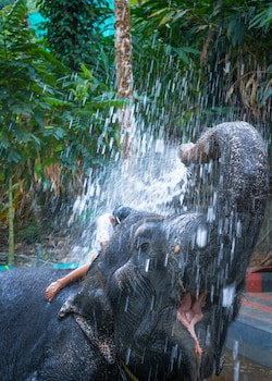 Amritara Shalimar Spice Garden Resort & Spa