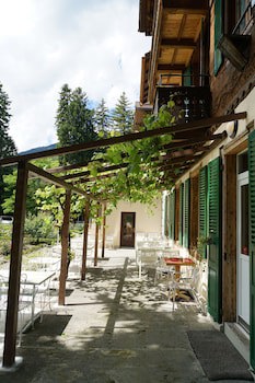 Alpenrose
