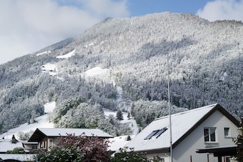 Alpenrose