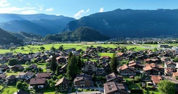 Alpenrose