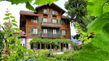 Alpenrose