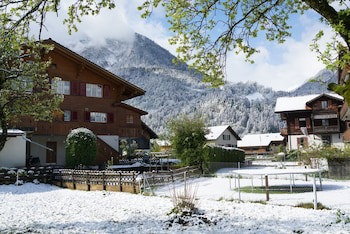 Alpenrose