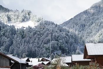 Alpenrose
