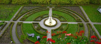 Alpenrose