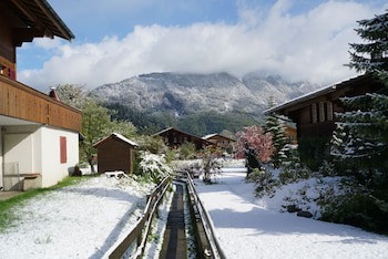 Alpenrose