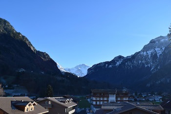 Alpenrose