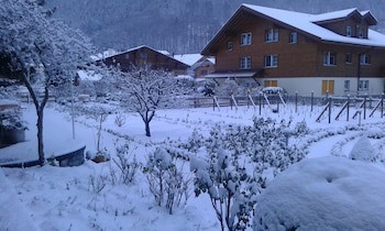Alpenrose