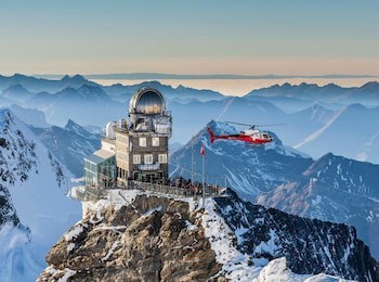 Alpenrose