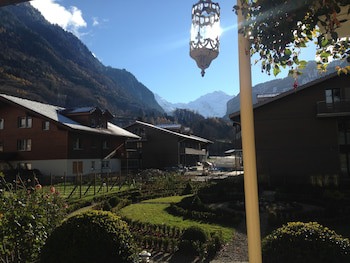 Alpenrose