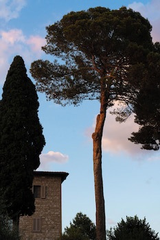 Domus Pacis Assisi galeri fotoğrafı