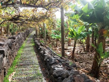 Faja Dos Padres