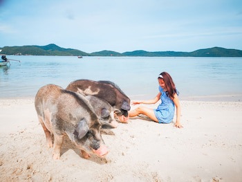 Avani+ Samui Resort