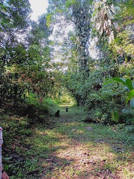 Argovia Finca Resorts