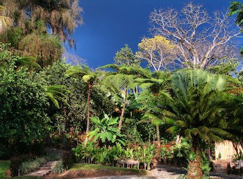 Argovia Finca Resorts
