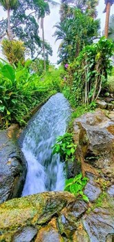 Argovia Finca Resorts