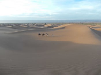 La Perle Du Draa Hotel