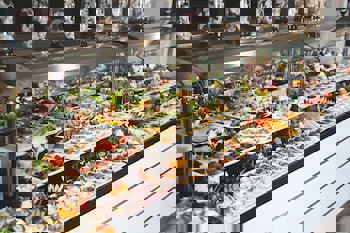 Oruçoğlu Thermal Resort