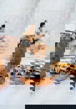 Oruçoğlu Thermal Resort