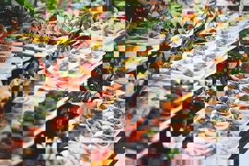 Oruçoğlu Thermal Resort