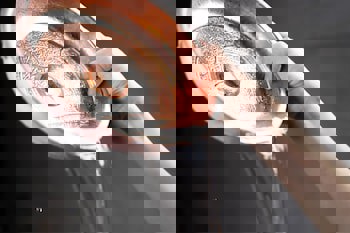 Oruçoğlu Thermal Resort