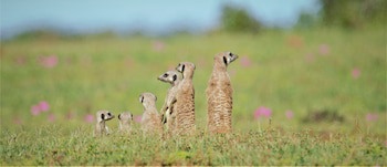 Hitgeheim Country Lodge & Eco Reserve