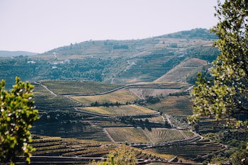 Hotel Rural Quinta Do Silval