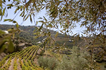 Hotel Rural Quinta Do Silval