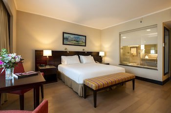 Eurobuilding Hotel Boutique Buenos Aires