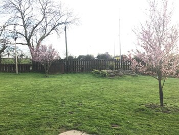 The Windmill