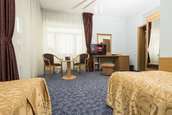 Hotel Ambient