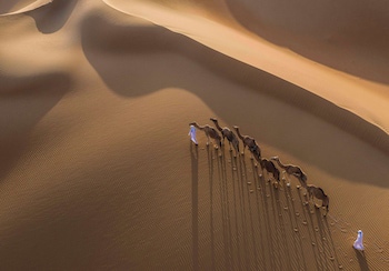 Qasr Al Sarab Desert Resort By Anantara