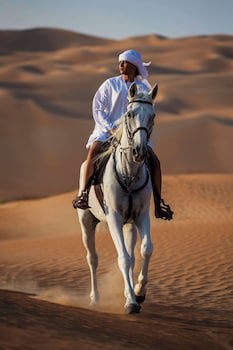 Qasr Al Sarab Desert Resort By Anantara