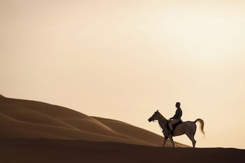 Qasr Al Sarab Desert Resort By Anantara
