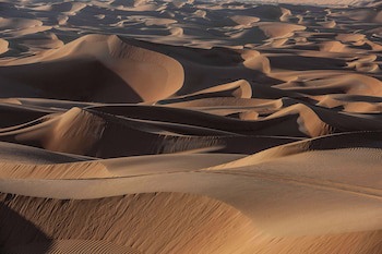 Qasr Al Sarab Desert Resort By Anantara