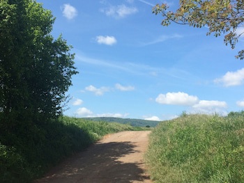 Parkhotel Schillerhain galeri fotoğrafı