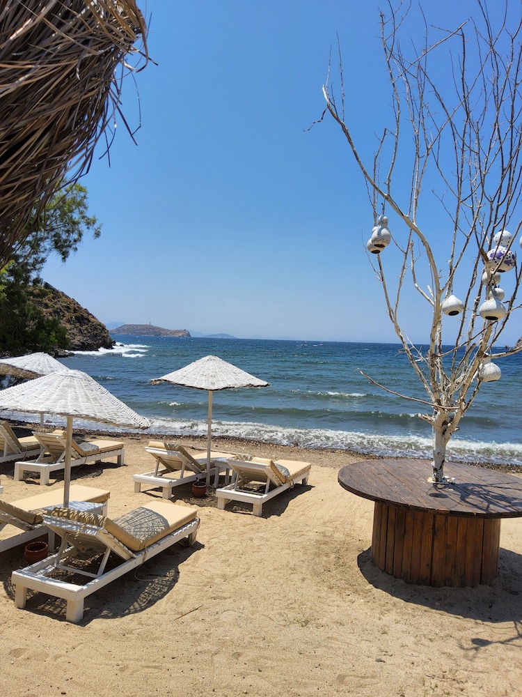 Club Hotel Zemda galeri fotoğrafı