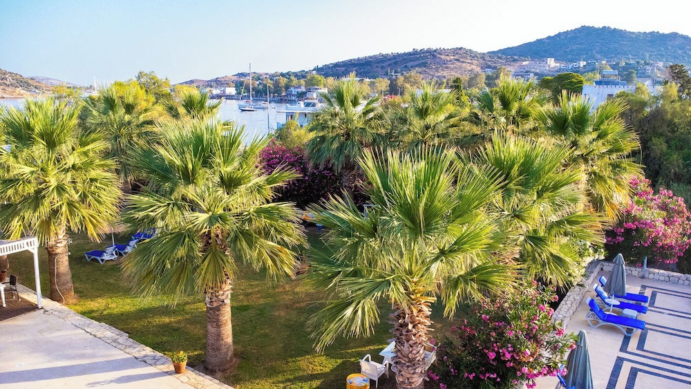 Club Hotel Zemda galeri fotoğrafı
