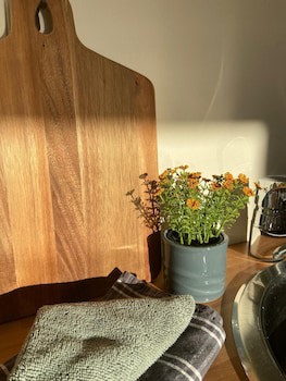 Vikingskipet Hamar Hostel & Apartments
